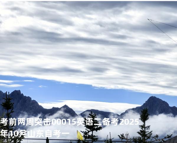 考前两周突击 00015英语二 备考2025年10月山东自考一
