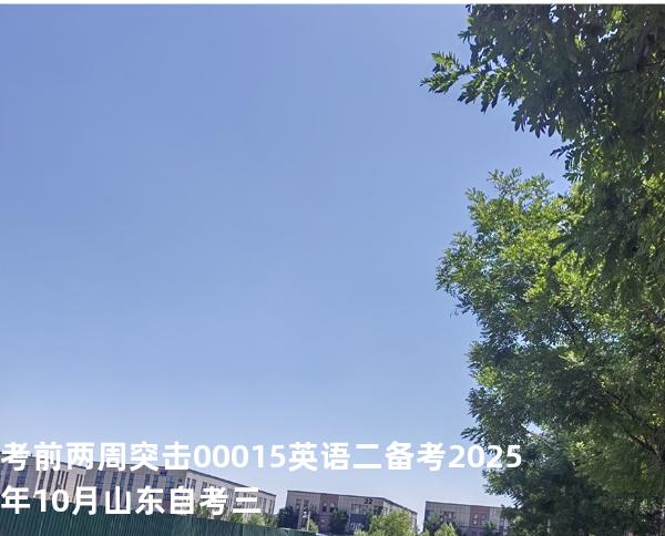  考前两周突击 00015英语二 备考2025年10月山东自考三