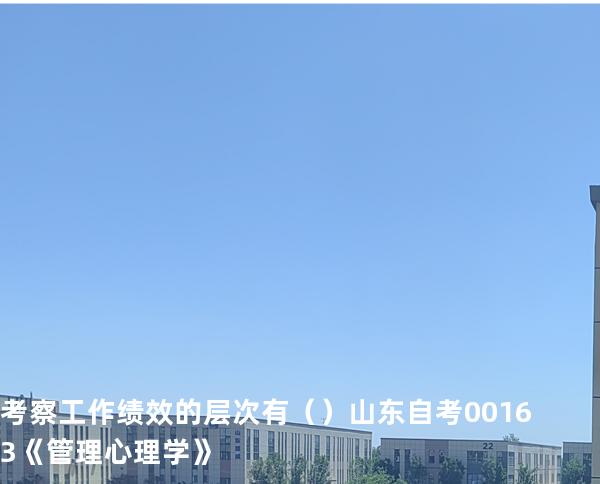 考察工作绩效的层次有   （ ）  山东自考00163《管理心理学》