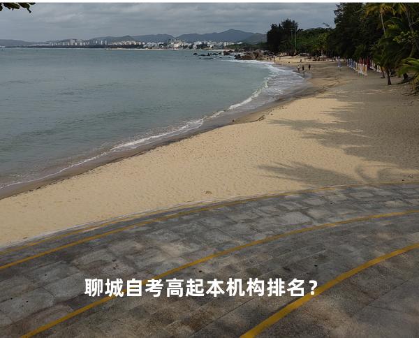 聊城自考高起本机构排名？