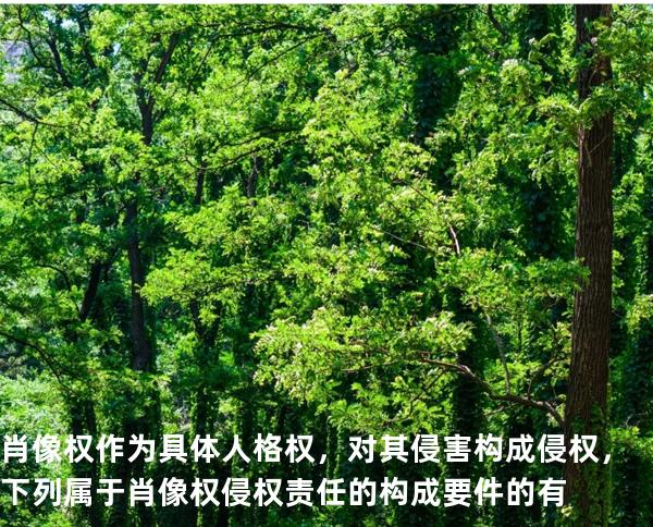  肖像权作为具体人格权，对其侵害构成侵权，下列属于肖像权侵权责任的构成要件的有