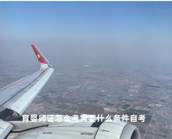 育婴师证怎么考需要什么条件自考