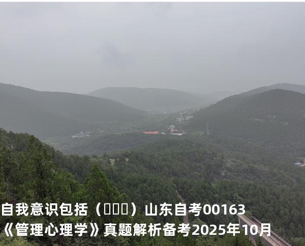 自我意识包括（     ）  山东自考00163《管理心理学》真题解析备考2025年10月