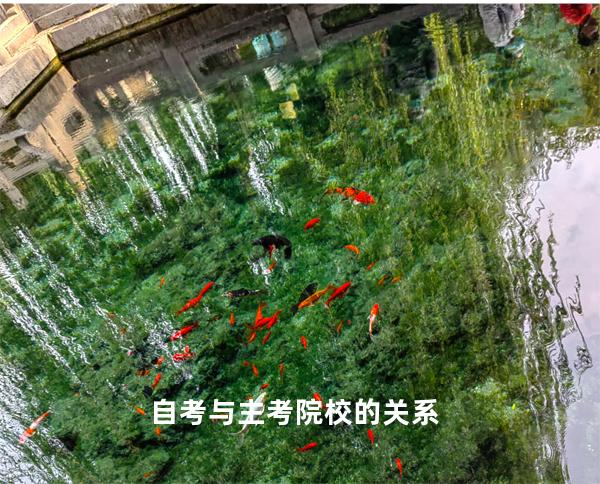 自考与主考院校的关系