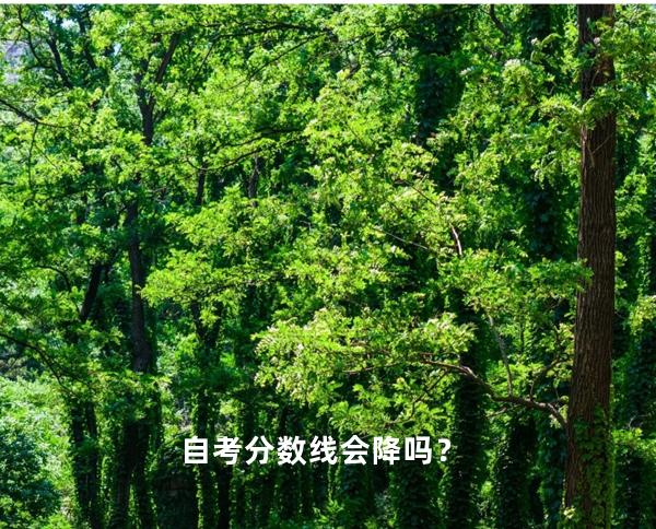 自考分数线会降吗？