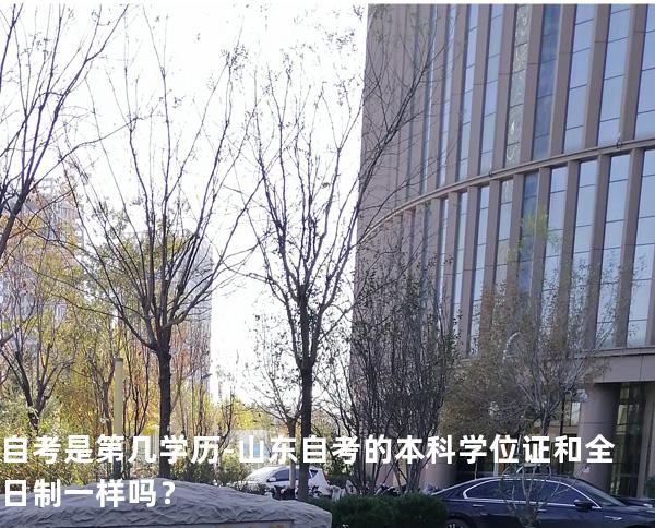 自考是第几学历-山东自考的本科学位证和全日制一样吗？