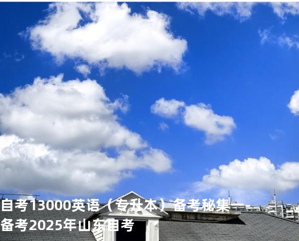 自考13000英语（专升本）备考秘集一  -备考2025年山东自考