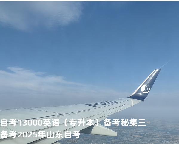 自考13000英语（专升本）备考秘集三  -备考2025年山东自考