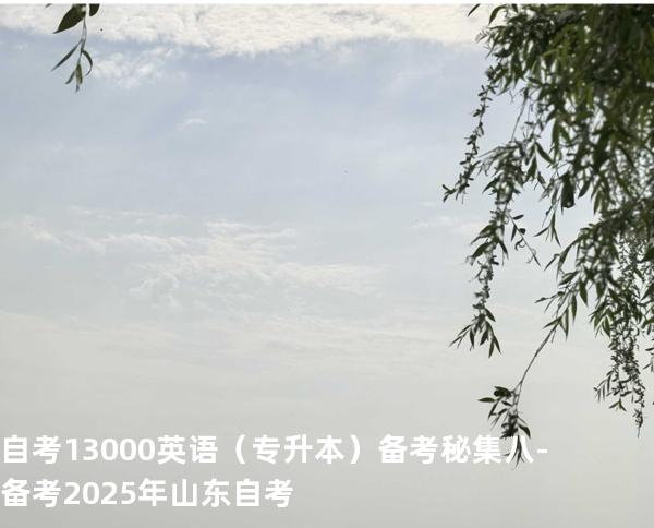 自考13000英语（专升本）备考秘集 八 -备考2025年山东自考