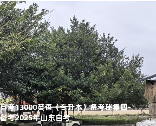 自考13000英语（专升本）备考秘集 四 -备考2025年山东自考
