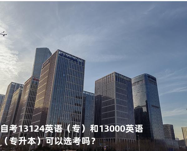 自考13124英语（专）和13000英语（专升本）可以选考吗？