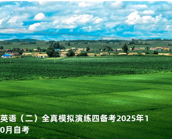 英语（二）全真模拟演练四备考2025年10月自考