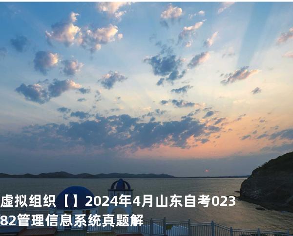 虚拟组织【】2024 年 4 月 山东自考 02382管理信息系统 真题解