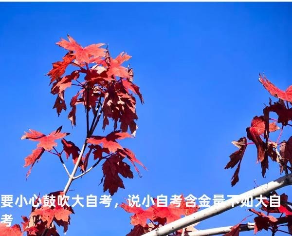 要小心 鼓吹大自考，说小自考含金量不如大自考