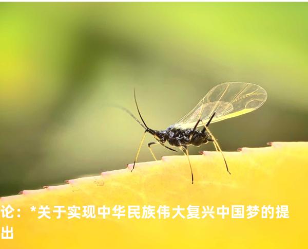 论：*关于实现中华民族伟大复兴中国梦的提出