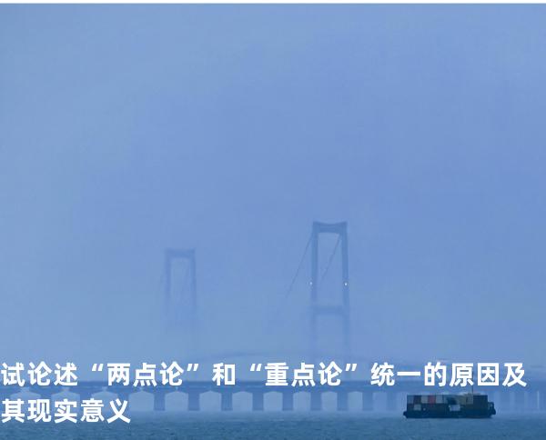 试论述“两点论”和“重点论”统一的原因及其现 实意义