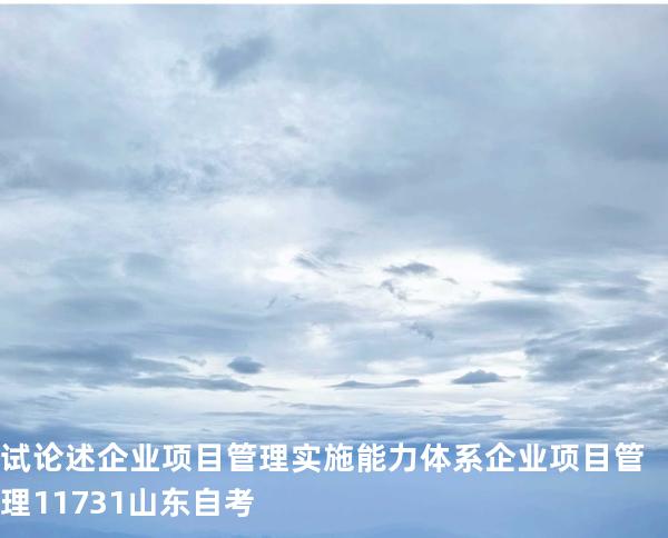 试论述企业项目管理实施能力体系 企业项目管理 11731 山东自考