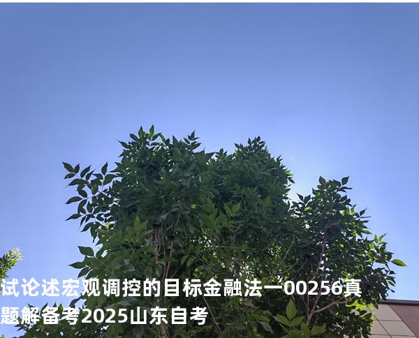 试论述宏观调控的目标  金融法一 00256 真题解 备考2025山东自考