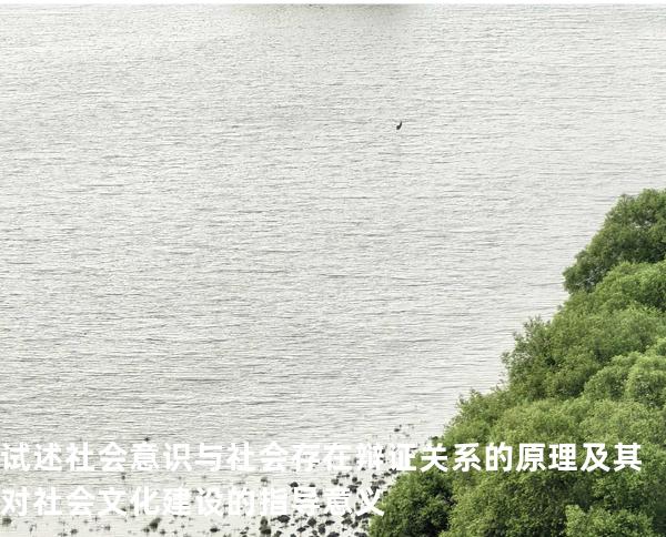试述社会意识与社会存在辩证关系的原理及其对社会文化建设的指导意义