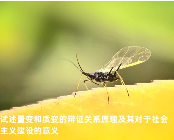 试述量变和质变的辩证关系原理及其对于社会主义建设的意义