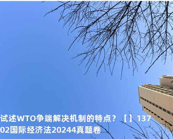  试述 WTO 争端解决机制的特点？【】13702国际经济法2024.4真题卷