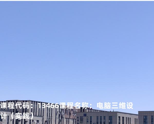 课程代码：13466  课程名称：电脑三维设计（实践）