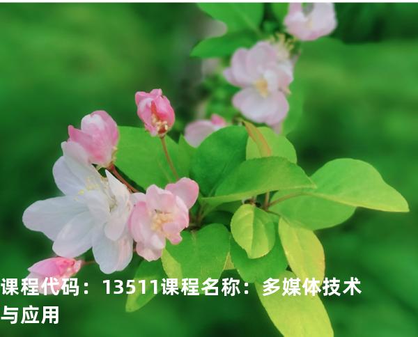 课程代码：13511  课程名称：多媒体技术与应用
