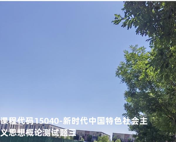 课程代码15040-新时代中国特色社会主义思想概论测试题三