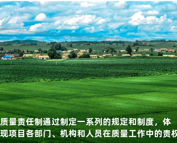 质量责任制通过制定一系列的规定和制度，体现项目各部门、机构和人员在质量工作中的责权利