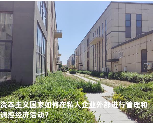 资本主义国家如何在私人企业外部进行管理和调控经济活动？