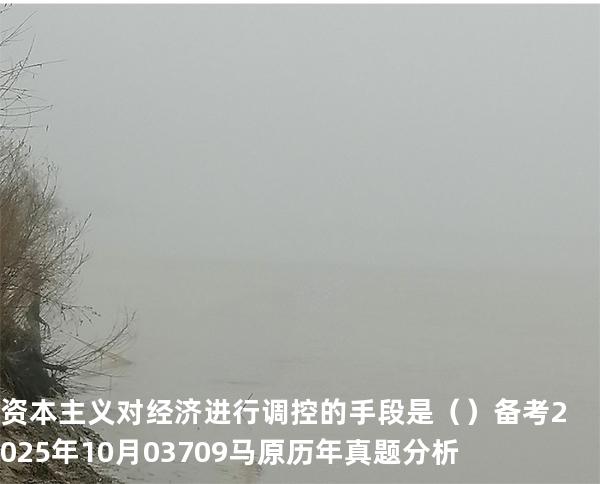 资本主义对经济进行调控的手段是（ ）备考2025年10月 03709马原   历年真题分析