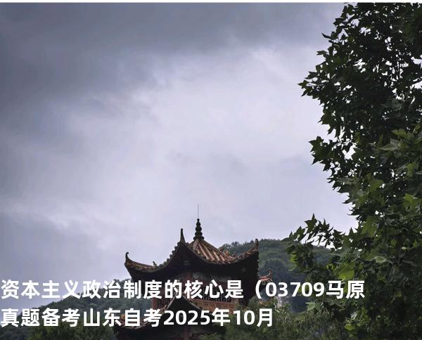 资本主义政治制度的核心是（    03709 马原真题 备考山东自考2025年10月