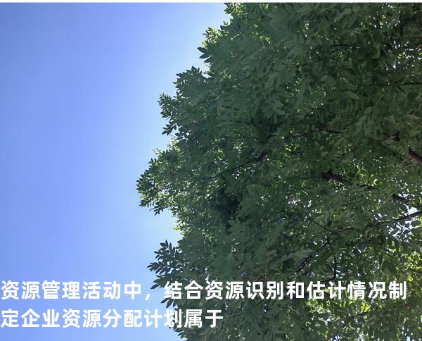 资源管理活动中，结合资源识别和估计情况制定企业资源分配计划属于