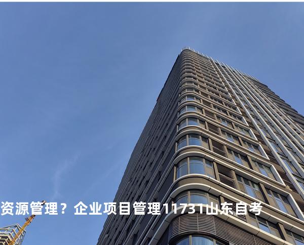 资源管理？企业项目管理 11731 山东自考