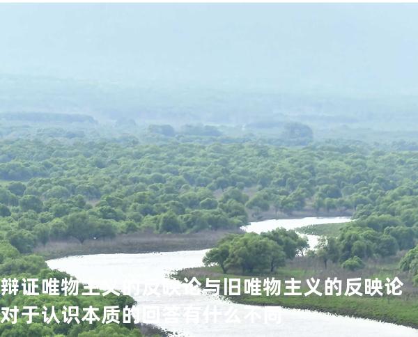 辩证唯物主义的反映论与旧唯物主义的反映论对于认识本质的回答有什么不同?