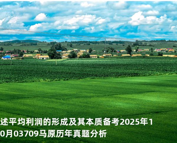 述平均利润的形成及其本质 备考2025年10月 03709马原   历年真题分析