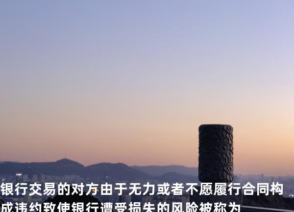 银行交易的对方由于无力或者不愿履行合同构成违约致使银行遭受损失的风险被称为