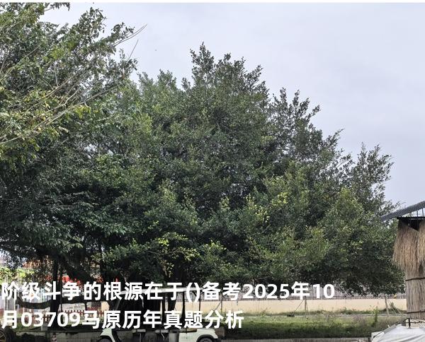 阶级斗争的根源在于( )备考2025年10月 03709马原   历年真题分析