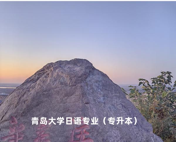 青岛大学 日语专业（专升本）