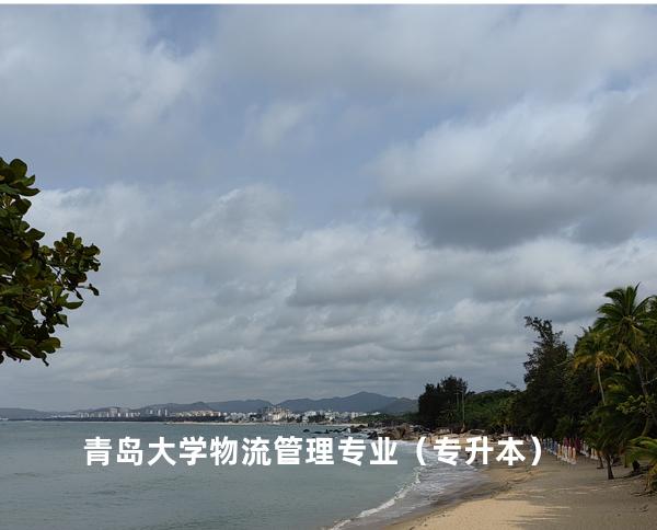 青岛大学 物流管理专业（专升本）