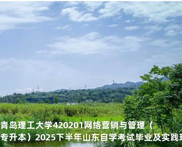 青岛理工大学    420201    网络营销与管理（专升本）2025下半年山东自学考试毕业及实践环节考核科目时间