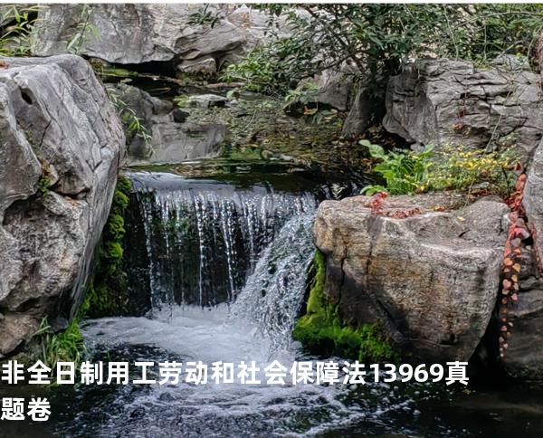 非全日制用工   劳动和社会保障法   13969 真题卷