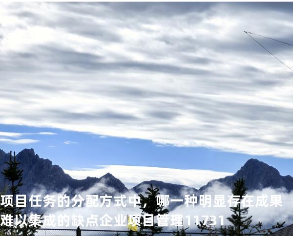 项目任务的分配方式中，哪一种明显存在成果难以集成的缺点?企业项目管理 11731