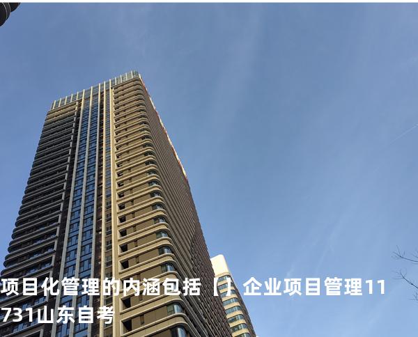 项目化管理的内涵包括【】企业项目管理 11731 山东自考
