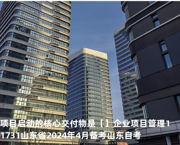 项目启动的核心交付物是【】企业项目管理 11731 山东省2024年4月 备考山东自考