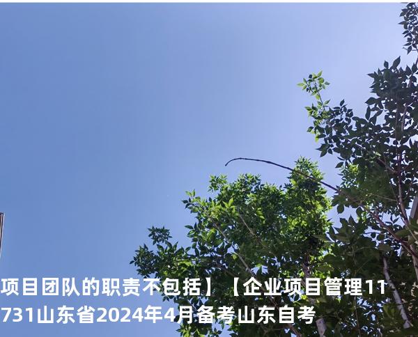 项目团队的职责不包括】【企业项目管理 11731 山东省2024年4月 备考山东自考