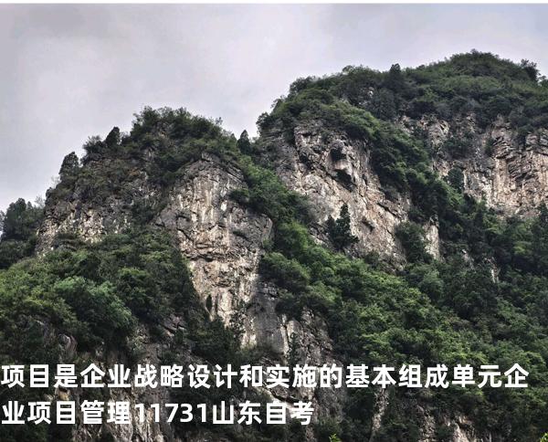 项目是企业战略设计和实施的基本组成单元 企业项目管理 11731 山东自考