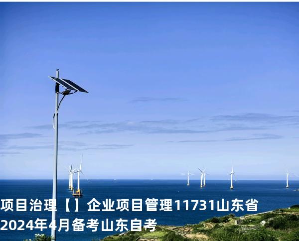 项目治理【】企业项目管理 11731 山东省2024年4月 备考山东自考