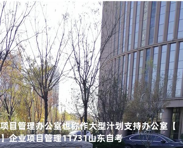 项目管理办公室也称作大型汁划支持办公室【】企业项目管理 11731 山东自考