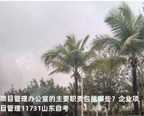 项目管理办公室的主要职责包括哪些？企业项目管理 11731 山东自考